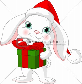 Little rabbit with Christmas gift