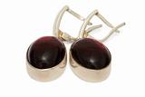 Silver Earrings with Garnet isolated