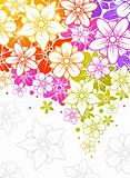 Floral colorful background