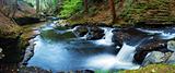 FOREST CREEK PANORAMA 