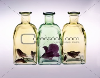 Three Bottles with Flowers