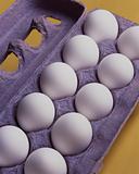 Dozen Eggs on Yellow Background

