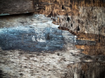 Texture of grunge old wood