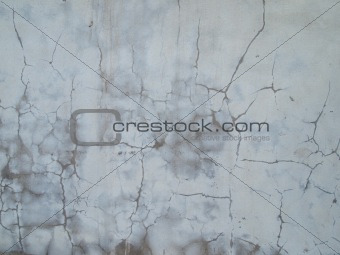 wall plastered wet cement