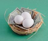 Nest with Money and Eggs on Green Background
