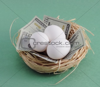 Nest with Money and Eggs on Green Background