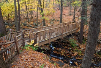 Autumn Bridge 