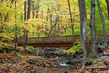 Autumn wood bridge