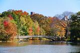New York City Central Park Rainbow Bridge