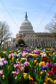 Capitol Building, Washington DC