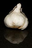Garlic on a Reflective Black Background
