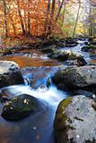 Autumn creek foliage and rock