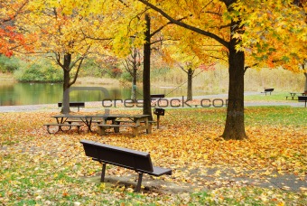 Autumn foliage in park by lake