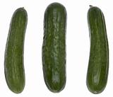 Trio of Fresh Cucumbers