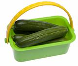 Basket of Fresh Cucumbers