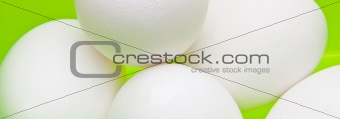 Eggs on Bright Green Banner