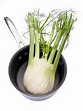 Fennel in a Cooking Pot