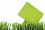 Blank Green Sign in Fresh Grass