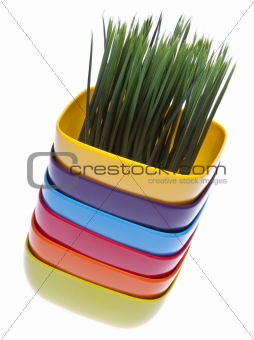 Stack of Vibrant Bowls with Fresh Grass.