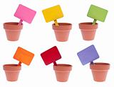 Group of Clay Pots with Vibrant Colored Blank Signs