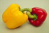 Pair of Bell Peppers