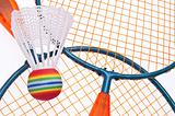 Vibrant Badminton Equipment