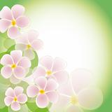 The green background with pink flowers. Vector EPS10