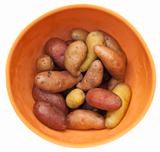 Fingerling Artisan Potatoes