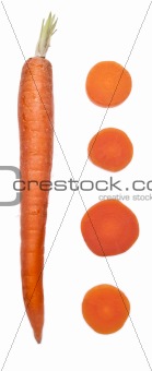 Canned and Fresh Carrots 