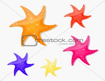 starfish icon set