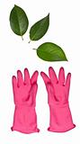 Pink Cleaning Gloves Reaching for Leaves
