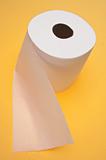 Modern Toilet Paper