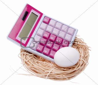 Calculate the Cost of Your Nest Egg