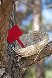 Nest in Tree with Blank Sign