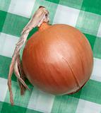 Onion Picnic