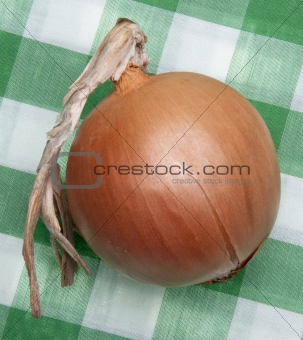 Onion Picnic