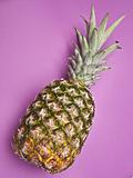 Pineapple on Purple