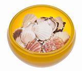 Yellow Glass Bowl Full of Shells