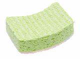 Green Sponge