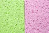 Green and Pink Sponge