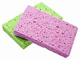 Green and Pink Sponge