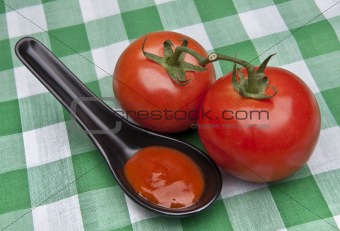 Spoonful of Tomato Soup