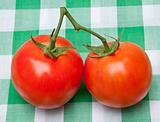 Pair of Tomatoes on a Picnic Blanket.