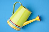 Vibrant Watering Can
