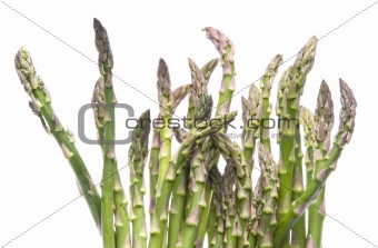 Wild Asparagus