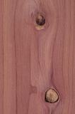 Wood Grain and Knot Background