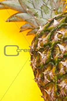 Pineapple on Yellow