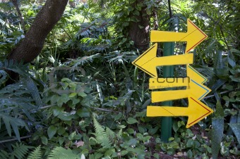 Yellow Signs in the Forest