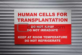 Human cells for transplantation