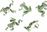 frog illustration